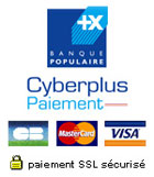Paiement en ligne sécurisé par la banque populaire des Alpes / Cyberplus