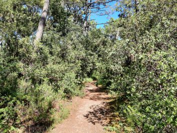 Sentier de la plage