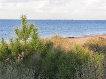 Plage vue de la dune